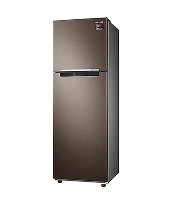 Tủ lạnh Samsung 299 lít RT29K5532DX/SV - góc nhìn 3