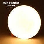 Đèn Led âm trần không viền (điều chỉnh lỗ khoét) – 24w - hình ảnh sản phẩm