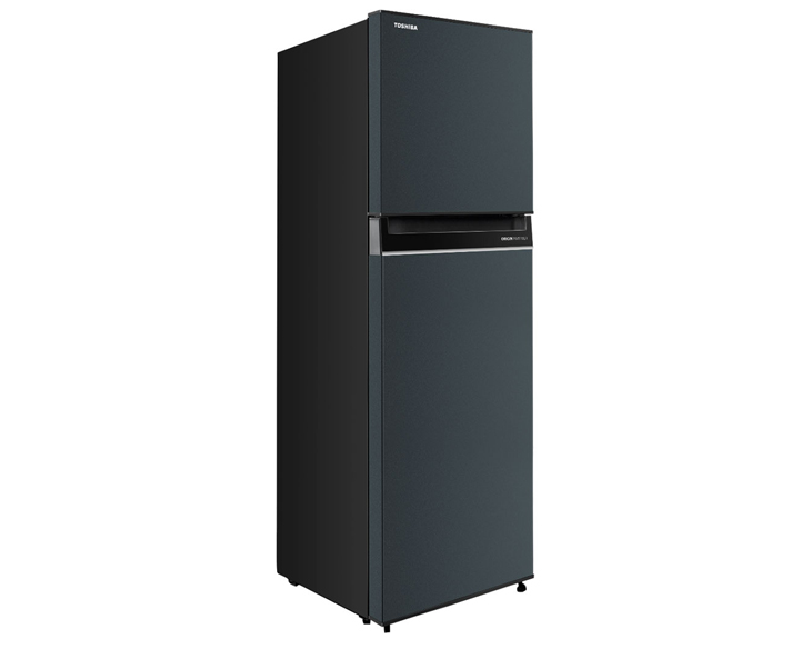 Tủ lạnh Toshiba Inverter 233 lít GR-RT303WE-PMV(52 giá tốt - góc nhìn 2
