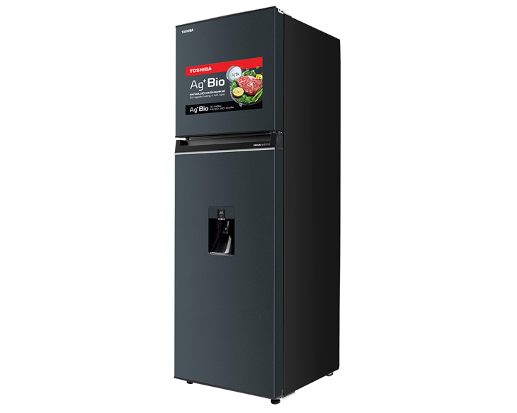 Tủ lạnh Toshiba Inverter 249 lít GR-RT325WE-PMV(06)-MG giá tốt - góc nhìn 2
