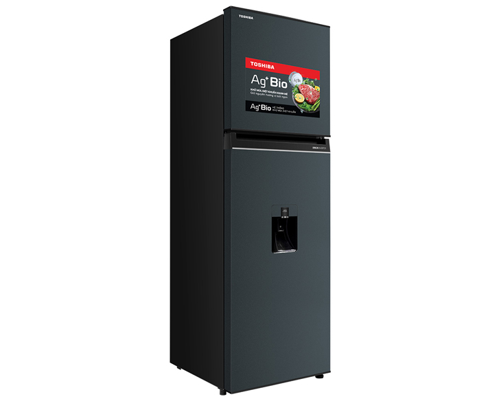 Tủ lạnh Toshiba Inverter 249 lít GR-RT325WE-PMV(06)-MG giá tốt - hình ảnh sản phẩm