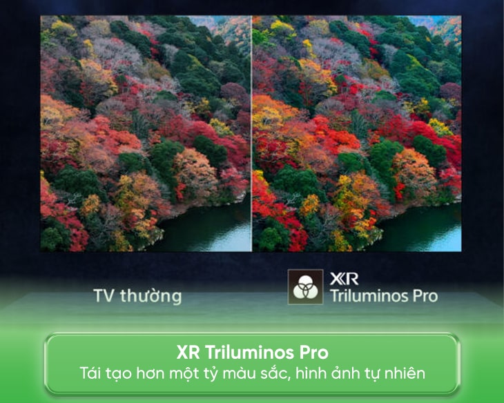 Google Tivi OLED Sony 4K 65 inch K-65XR80 Type 2024 - góc nhìn 5