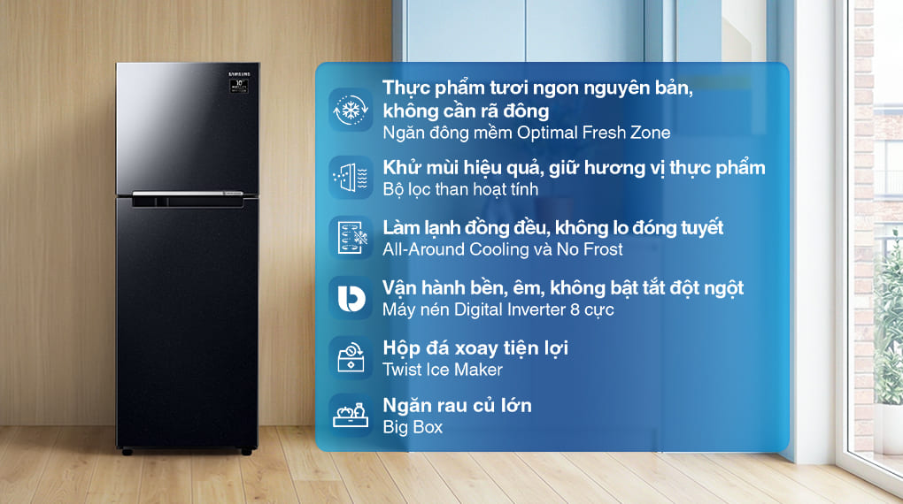 Tủ lạnh Samsung Inverter 236 lít RT22M4032BY/SV chính hãng - hình ảnh sản phẩm