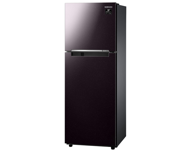 Tủ lạnh Samsung Inverter 236 lít RT22M4032BY/SV chính hãng - góc nhìn 3