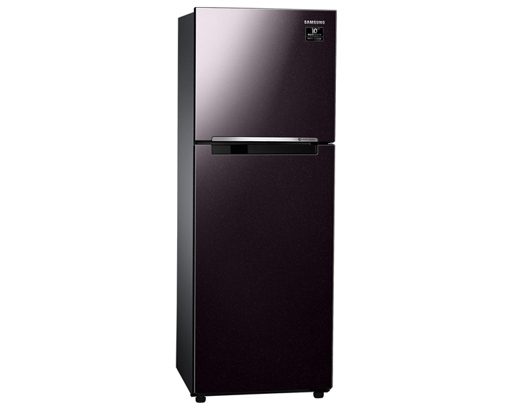 Tủ lạnh Samsung Inverter 236 lít RT22M4032BY/SV chính hãng - góc nhìn 2